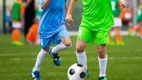 雷竞技RAYBET官方平台