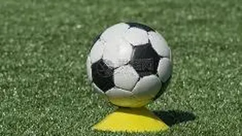 丁辉论：政治学研究中数字化挑战的应对策略