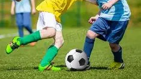 雷竞技RAYBET官方平台 资讯 113156 59v