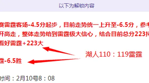 武汉长江足球俱乐部概述