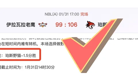 大乐透期号专家推荐：澳超强势分析解析